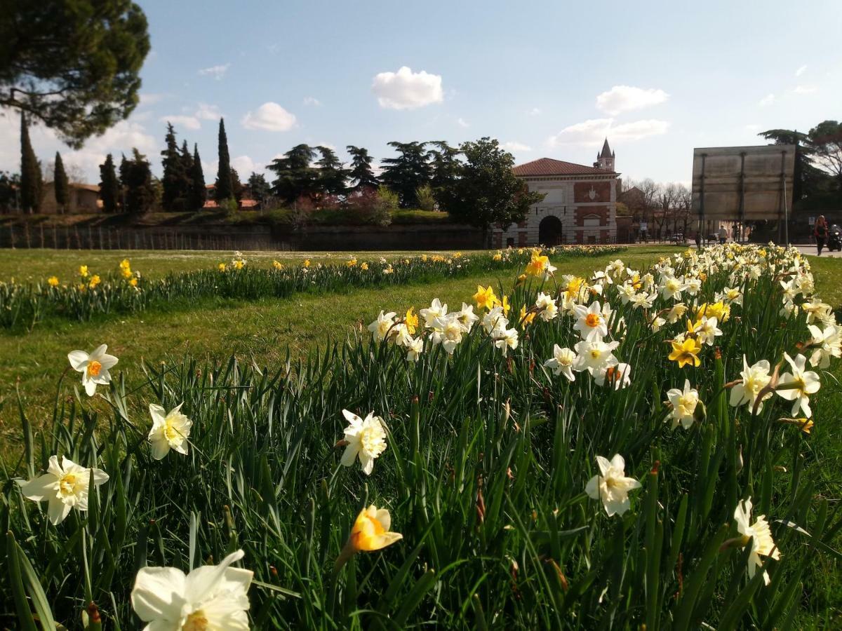 Verona Bottego Guest House Εξωτερικό φωτογραφία